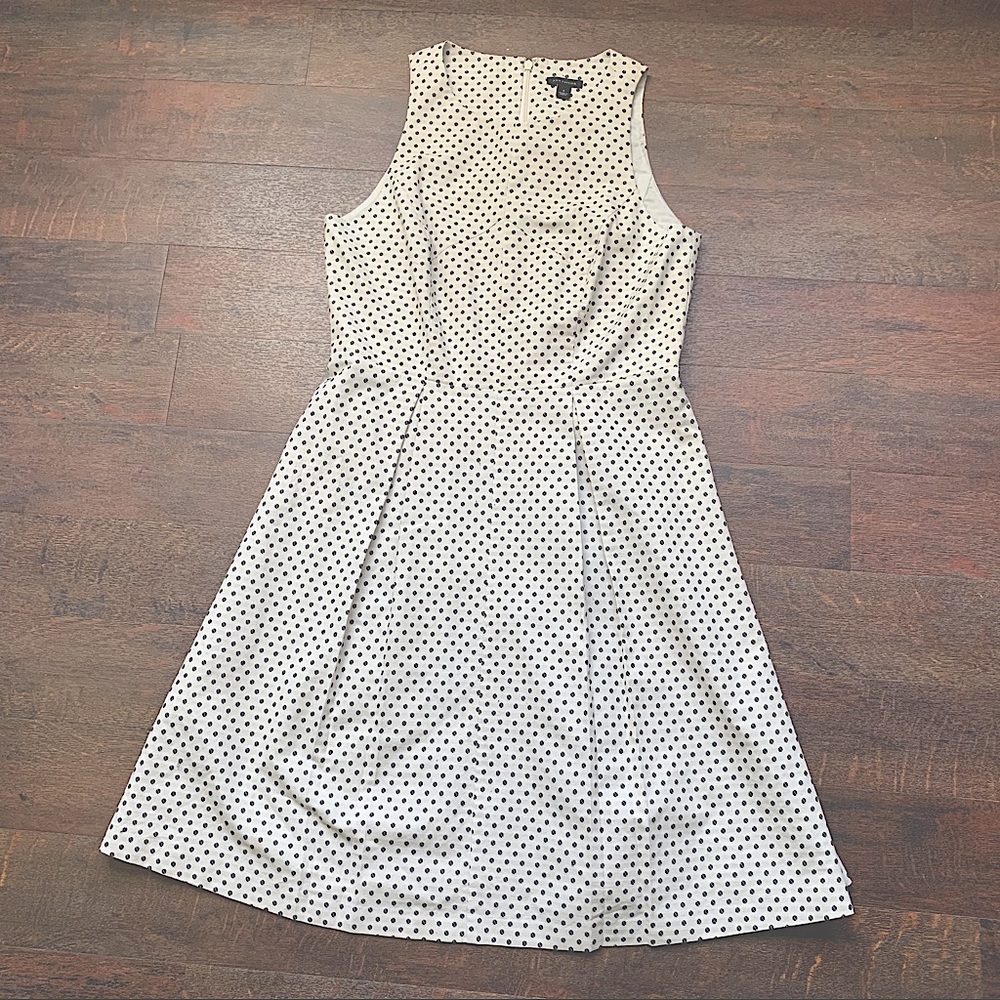 Ann Taylor dotted cotton shift dress